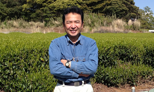 名人たちの緑茶を直接販売