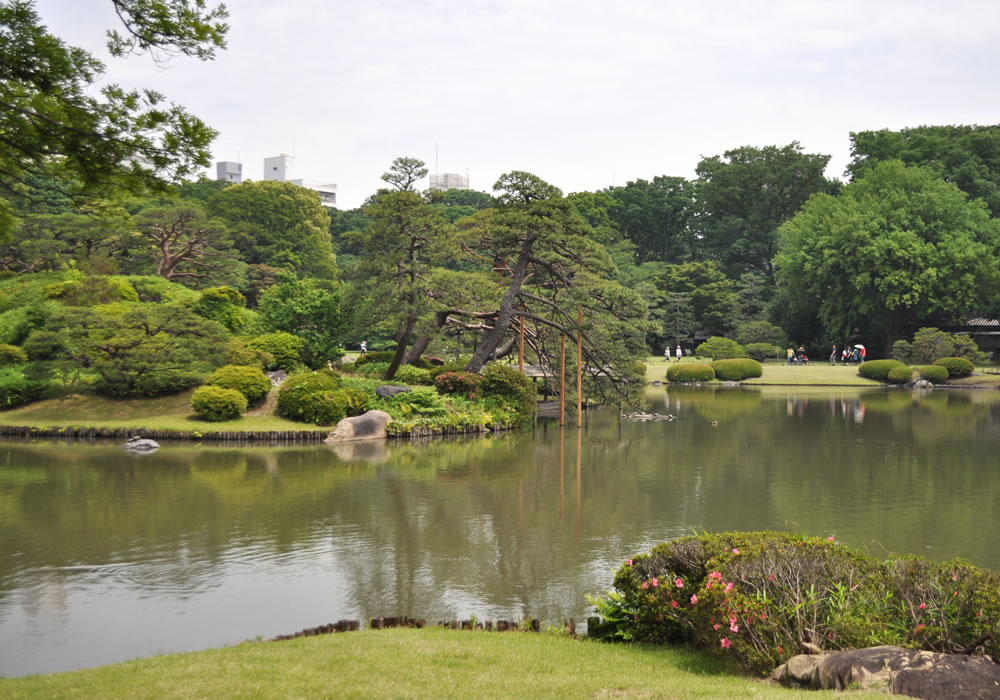 そもそも和菓子職人を目指した経緯は何ですか？