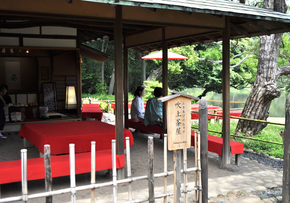 白石さんは日本の文化のどのようなところに惹かれていますか？